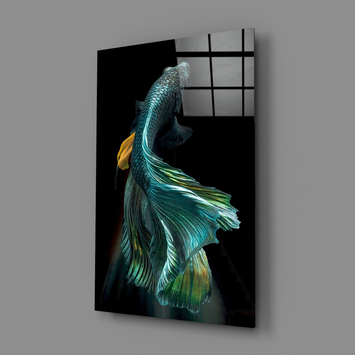 Teal and Gold Betta Fish on Black Glass Wall Art